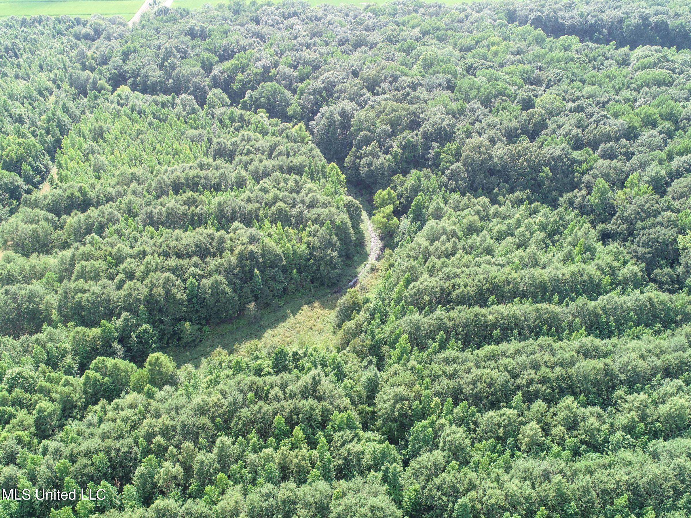 Curtis Road Batesville, MS 38606 - Photo 135 of 157 7sprgctrs19