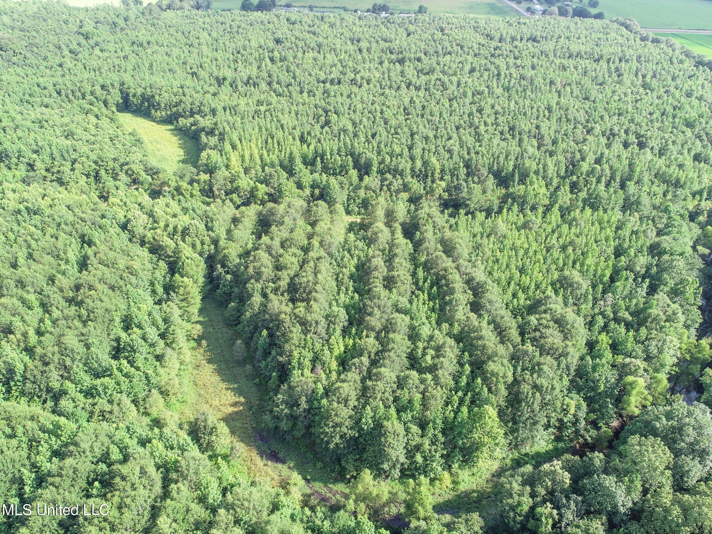 Curtis Road Batesville, MS 38606 - Photo 136 of 157 7sprgctrs20