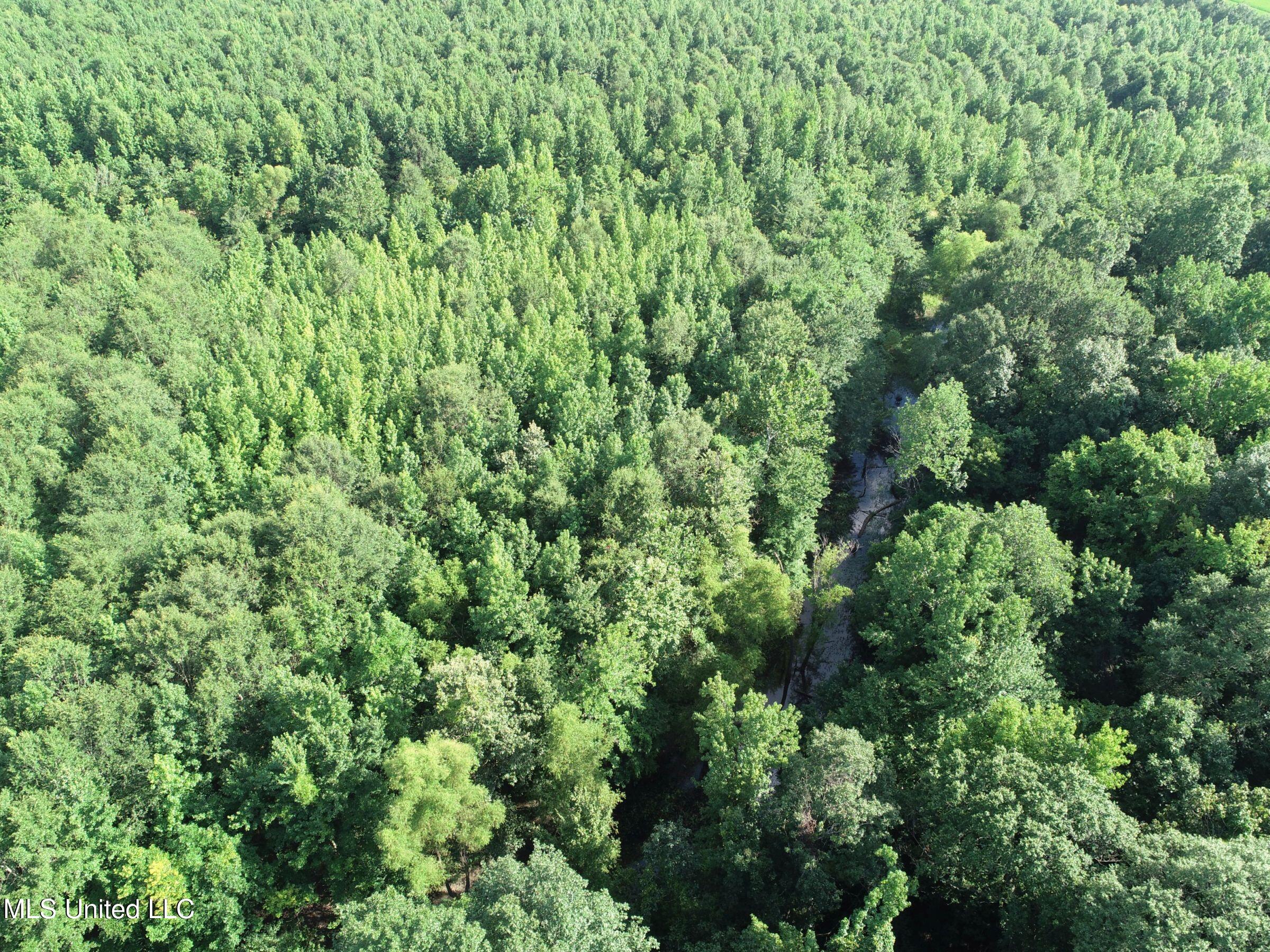 Curtis Road Batesville, MS 38606 - Photo 137 of 157 7sprgctrs21