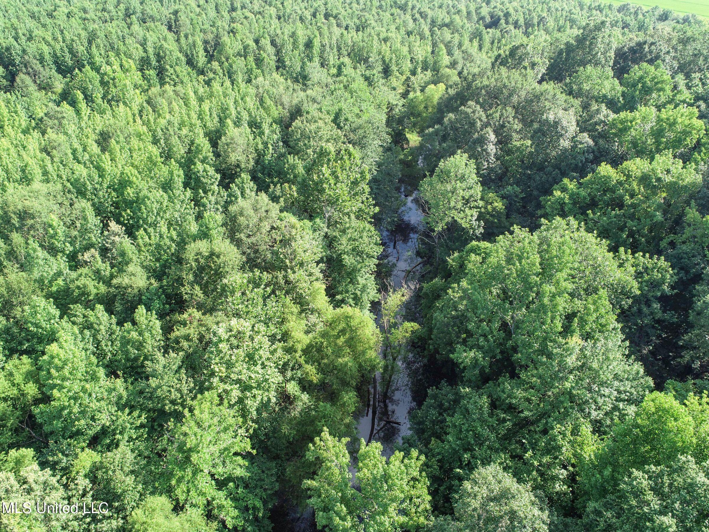 Curtis Road Batesville, MS 38606 - Photo 138 of 157 7sprgctrs22