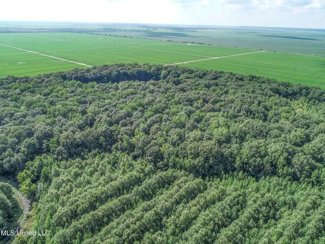 $625,000 | Curtis Road, Batesville, MS 38606