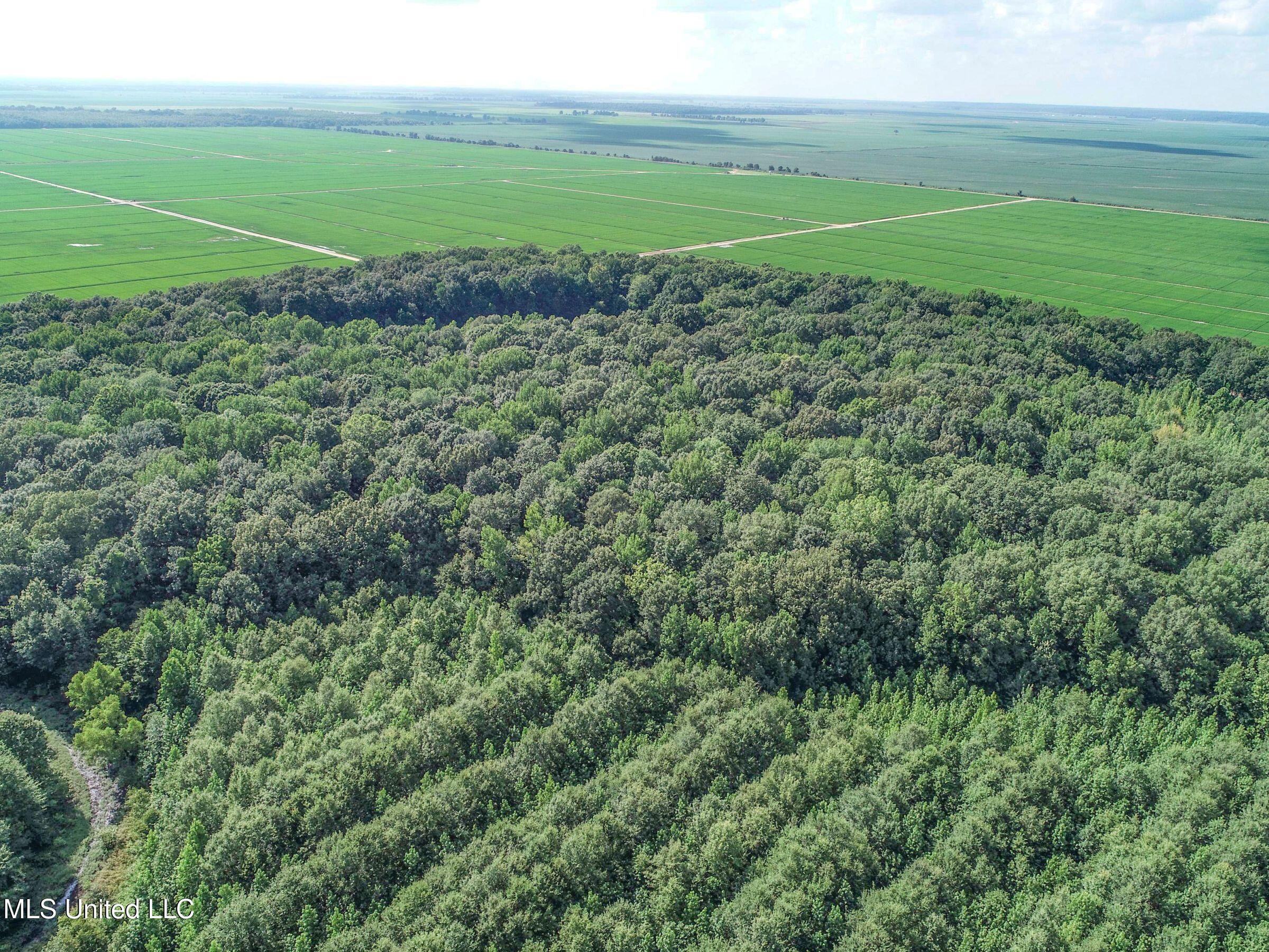 Curtis Road Batesville, MS 38606 - Photo 139 of 157 7sprgctrs23