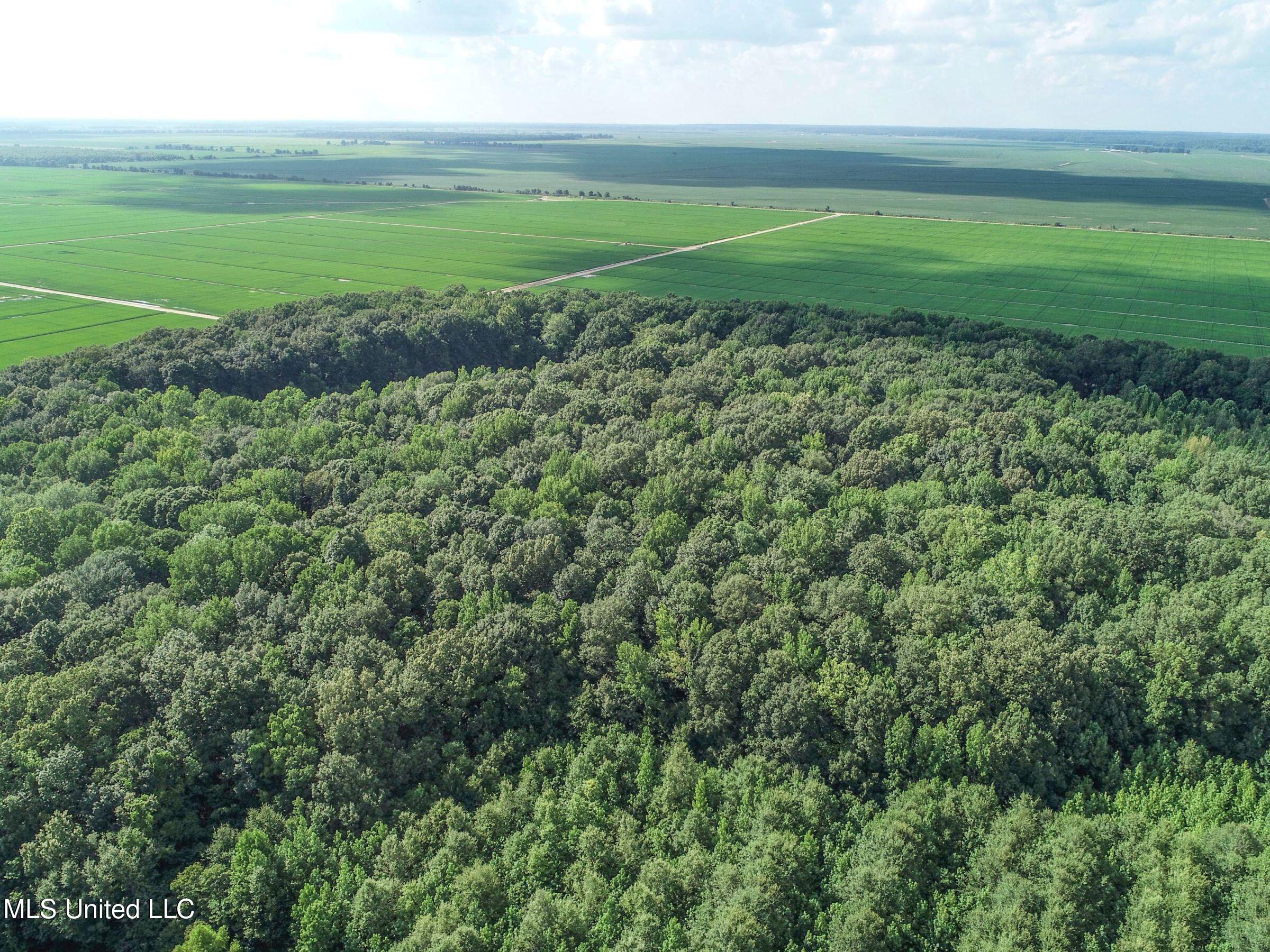 Curtis Road Batesville, MS 38606 - Photo 140 of 157 7sprgctrs24