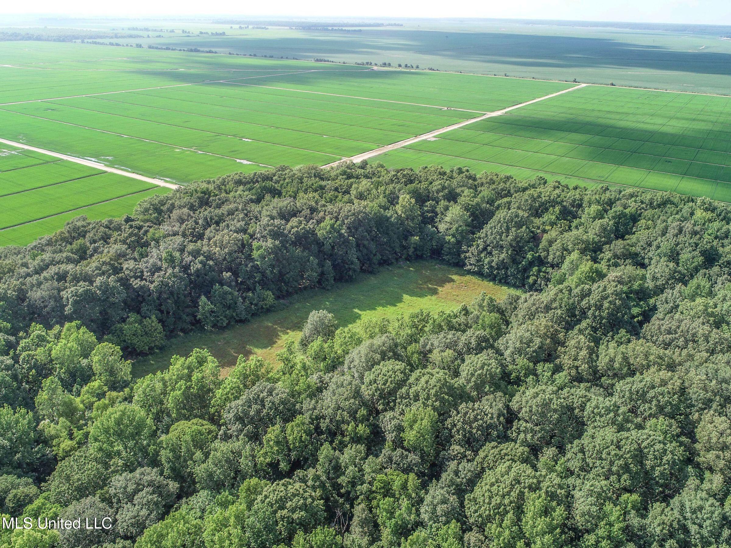 Curtis Road Batesville, MS 38606 - Photo 141 of 157 7sprgctrs26