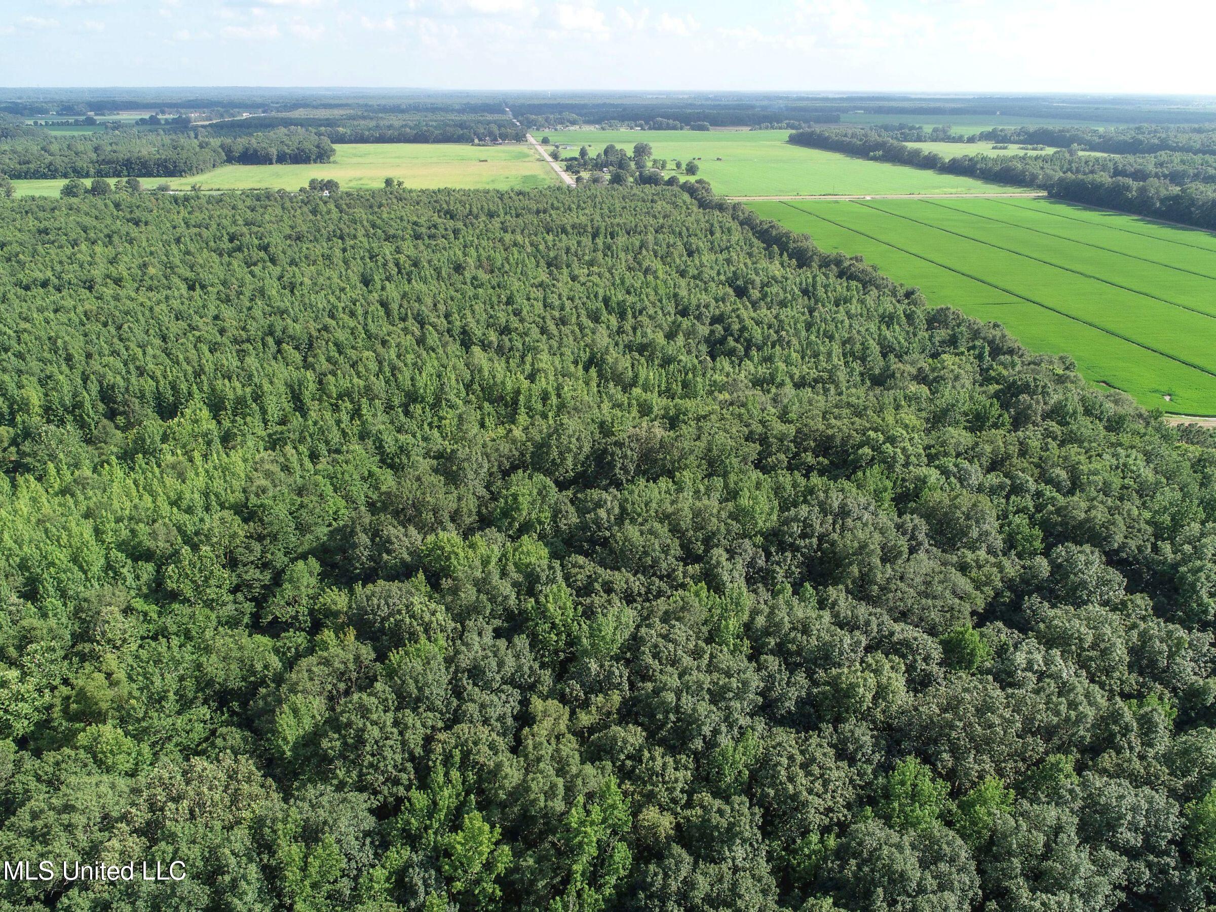 Curtis Road Batesville, MS 38606 - Photo 143 of 157 7sprgctrs28