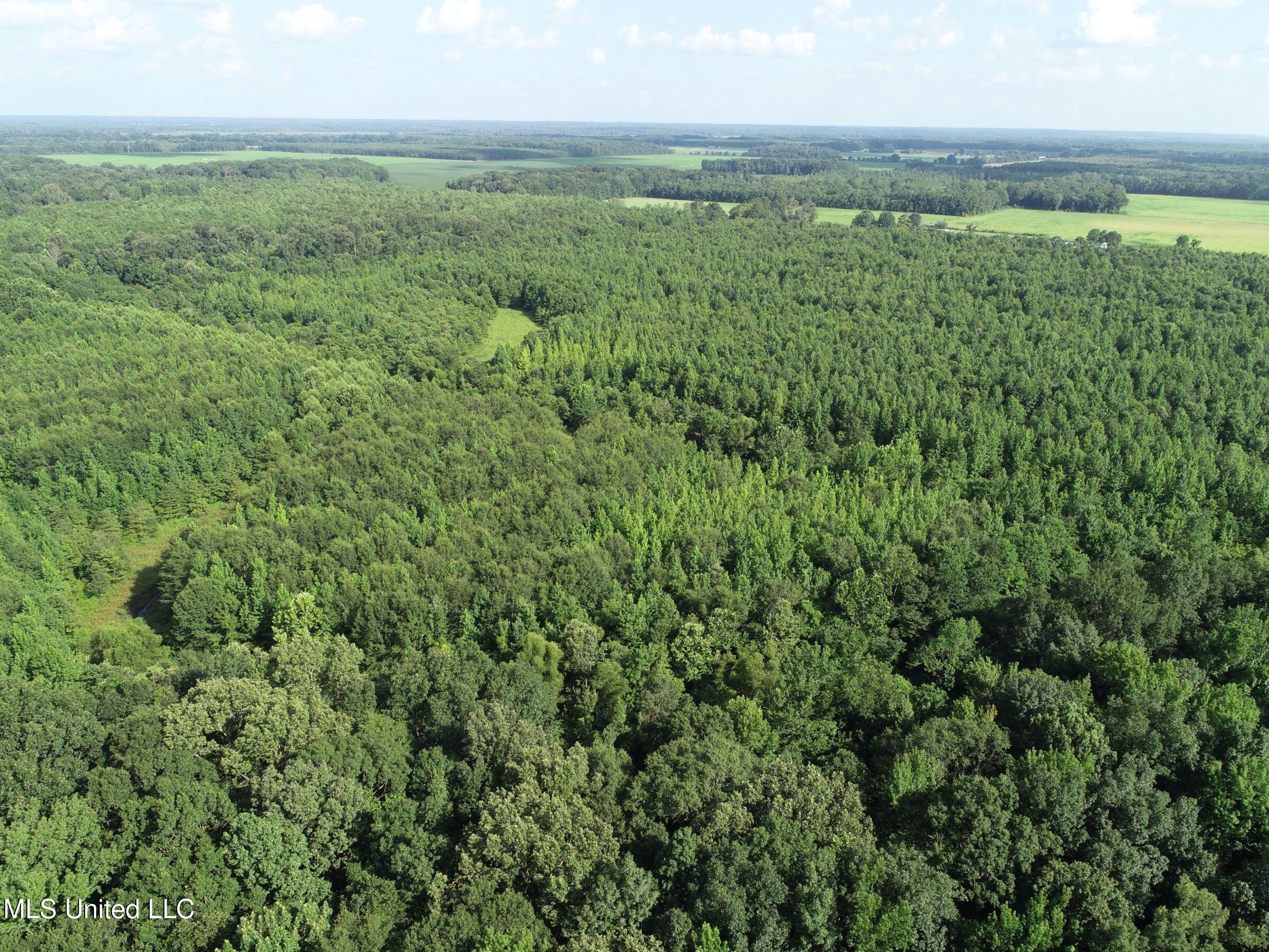 Curtis Road Batesville, MS 38606 - Photo 144 of 157 7sprgctrs29