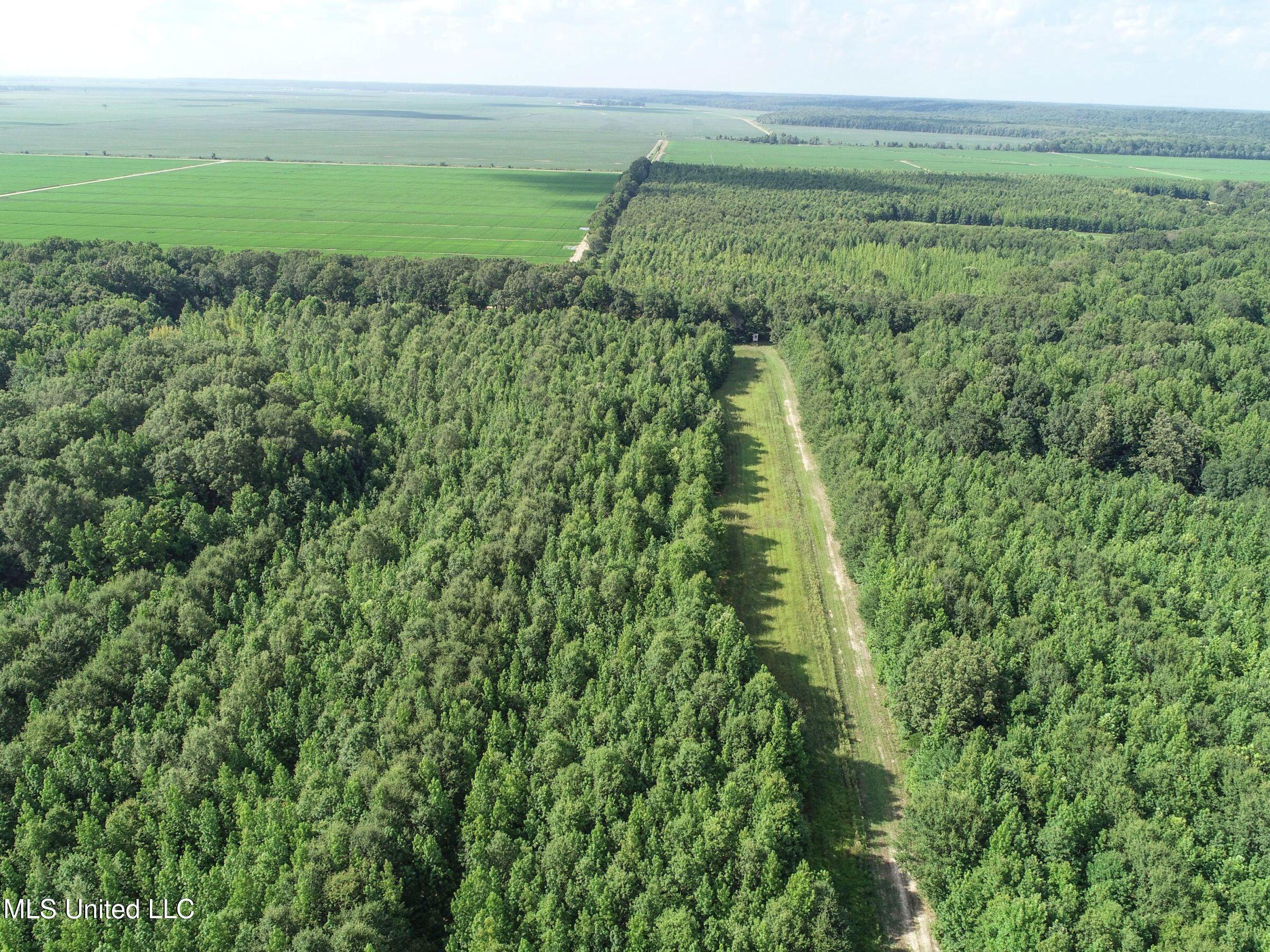 Curtis Road Batesville, MS 38606 - Photo 145 of 157 7sprgctrs30