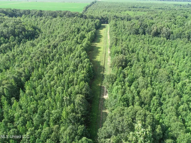 $625,000 | Curtis Road, Batesville, MS 38606