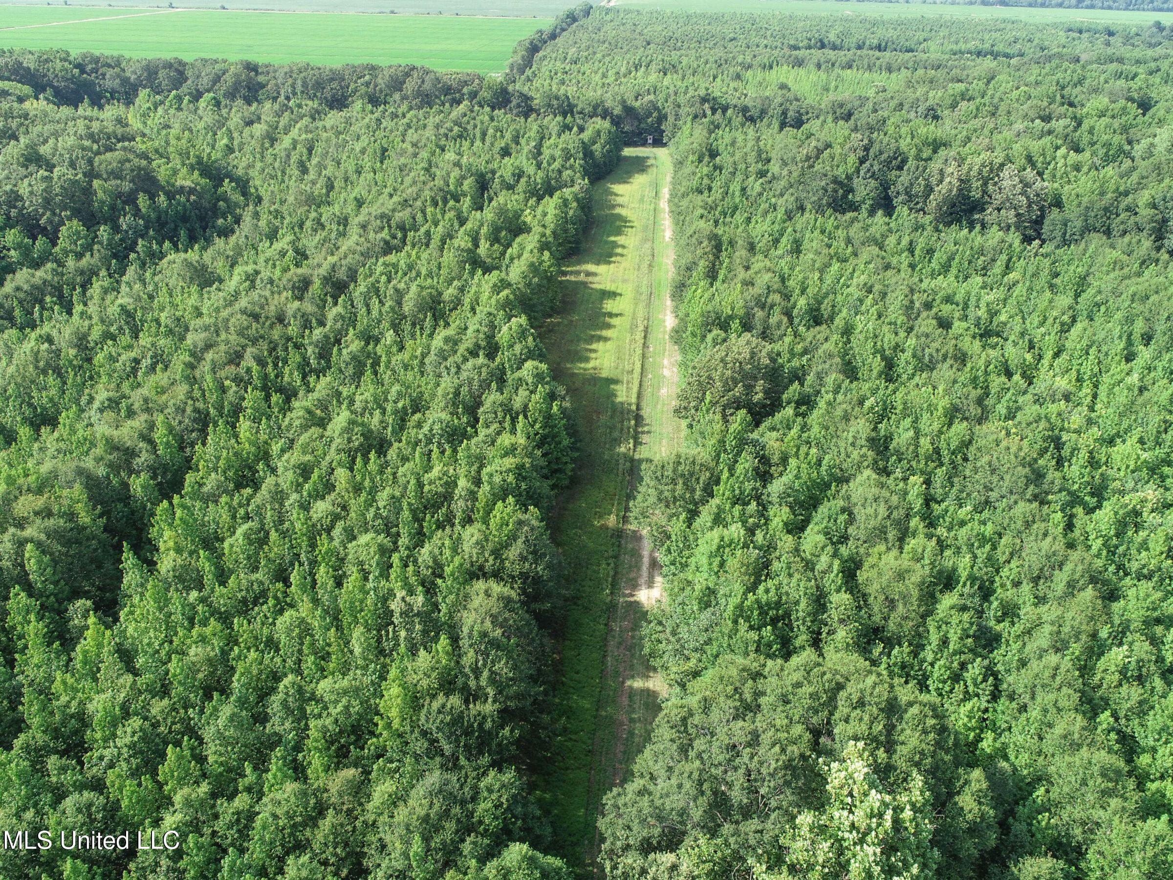 Curtis Road Batesville, MS 38606 - Photo 146 of 157 7sprgctrs31