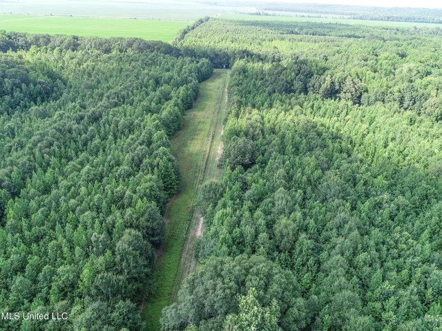 $625,000 | Curtis Road, Batesville, MS 38606