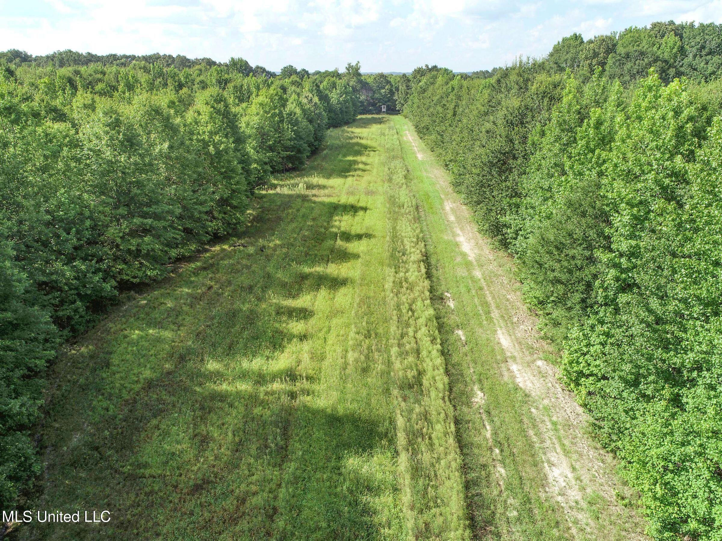 Curtis Road Batesville, MS 38606 - Photo 150 of 157 7sprgctrs35