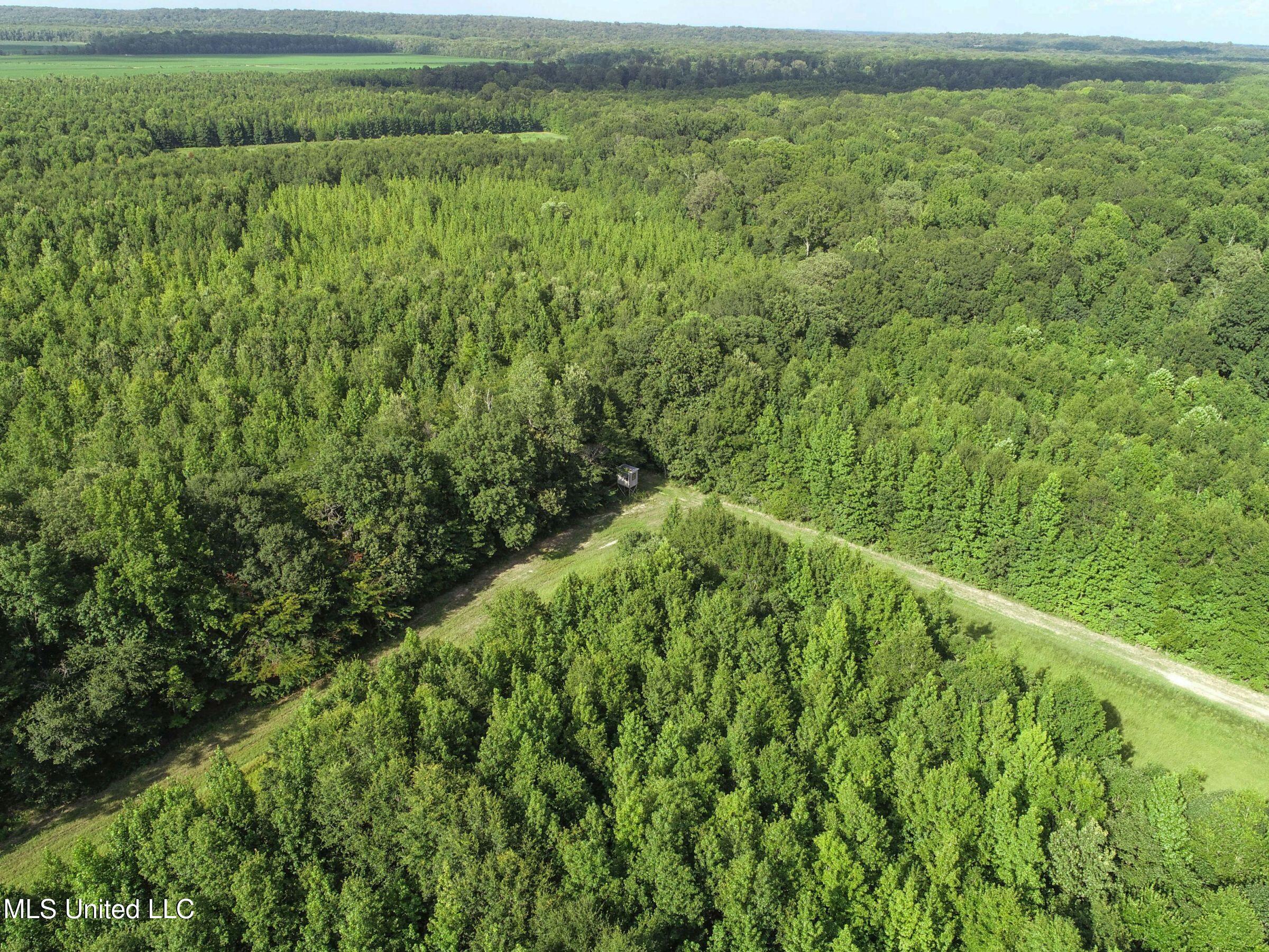 Curtis Road Batesville, MS 38606 - Photo 152 of 157 7sprgctrs37