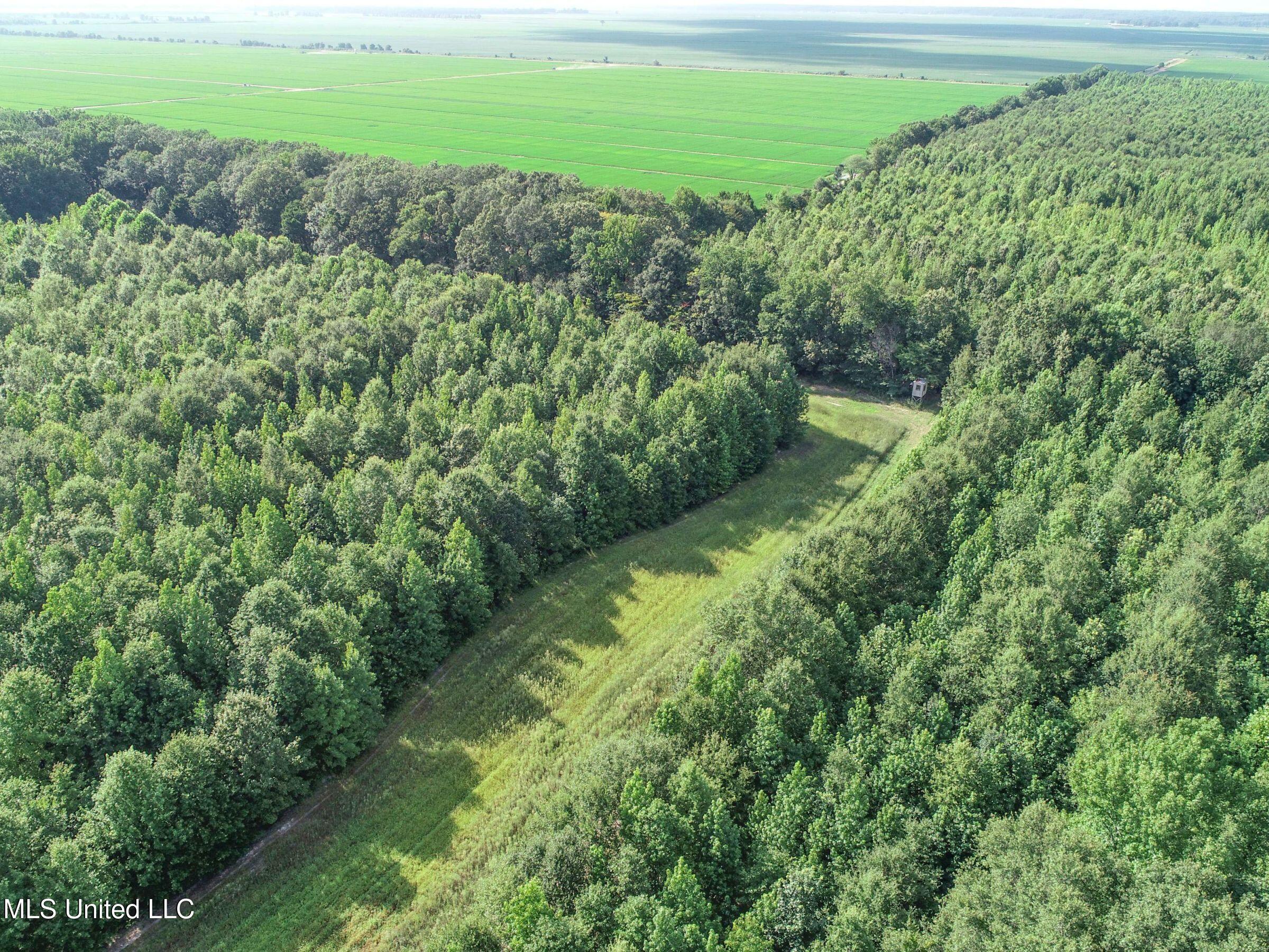 Curtis Road Batesville, MS 38606 - Photo 153 of 157 7sprgctrs38