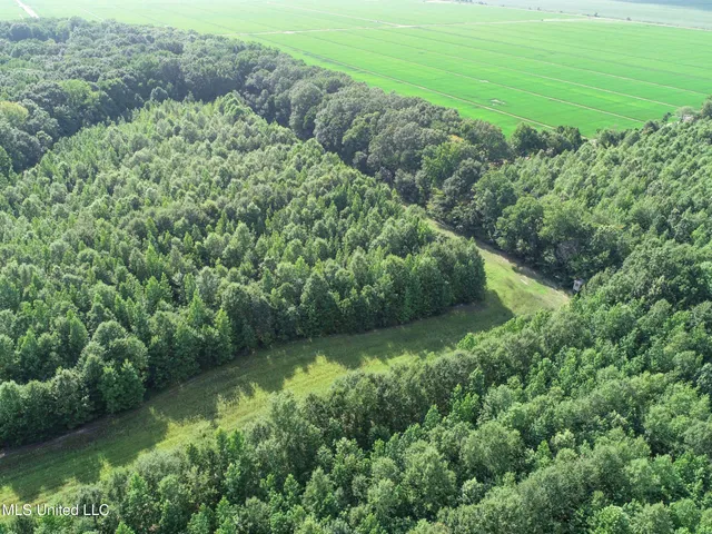 $625,000 | Curtis Road, Batesville, MS 38606