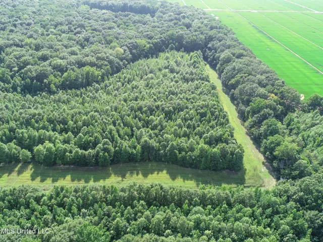 $625,000 | Curtis Road, Batesville, MS 38606