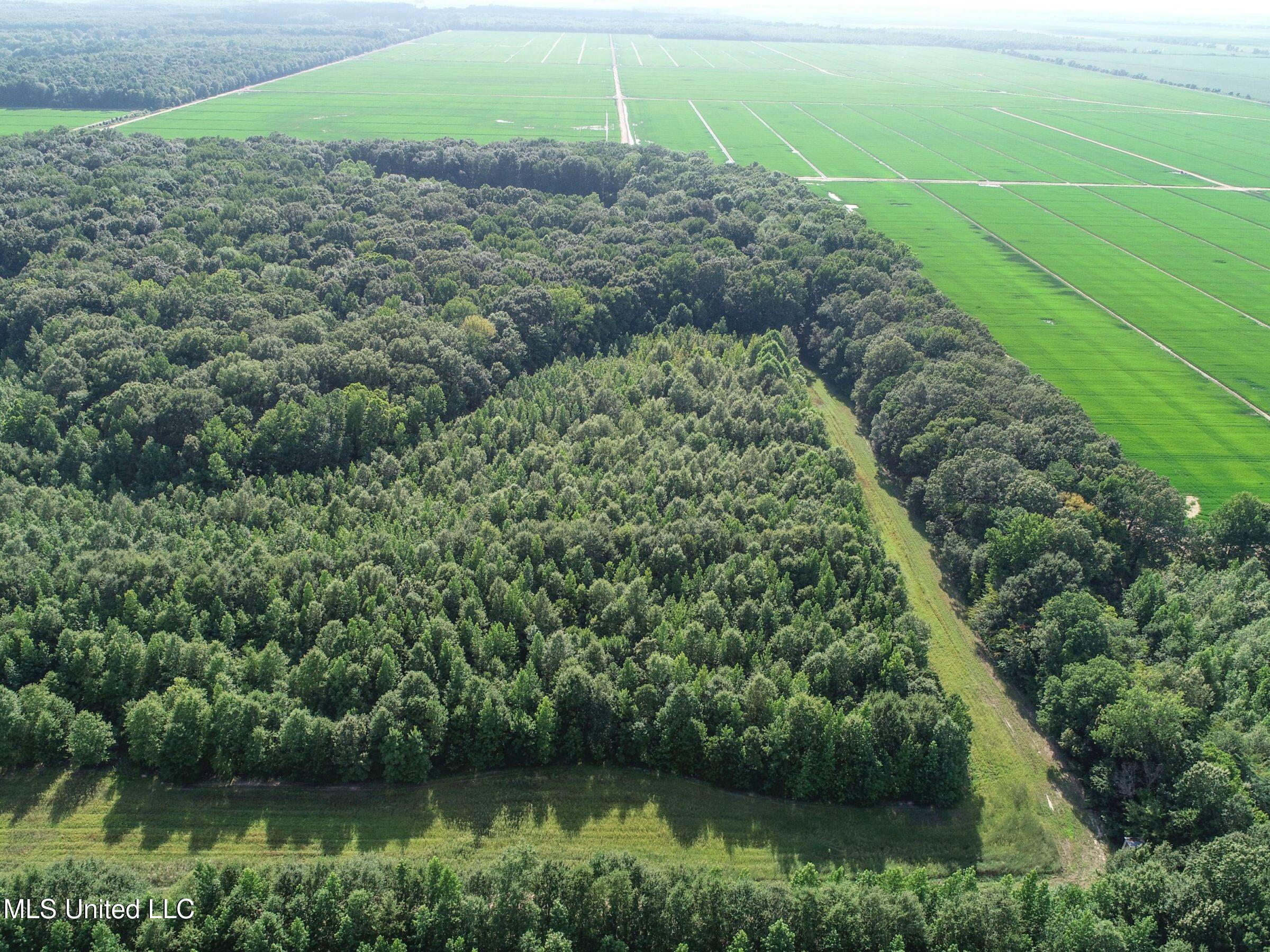 Curtis Road Batesville, MS 38606 - Photo 156 of 157 7sprgctrs41