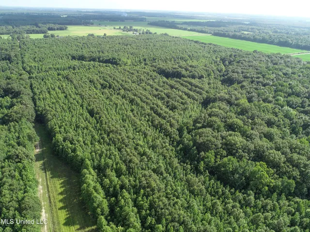 $625,000 | Curtis Road, Batesville, MS 38606