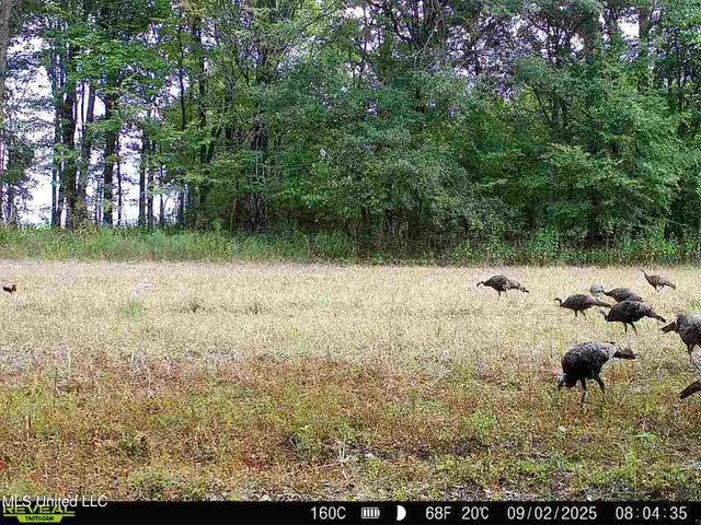 $625,000 | Curtis Road, Batesville, MS 38606