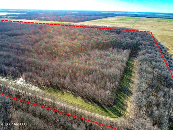 $625,000 | Curtis Road, Batesville, MS 38606