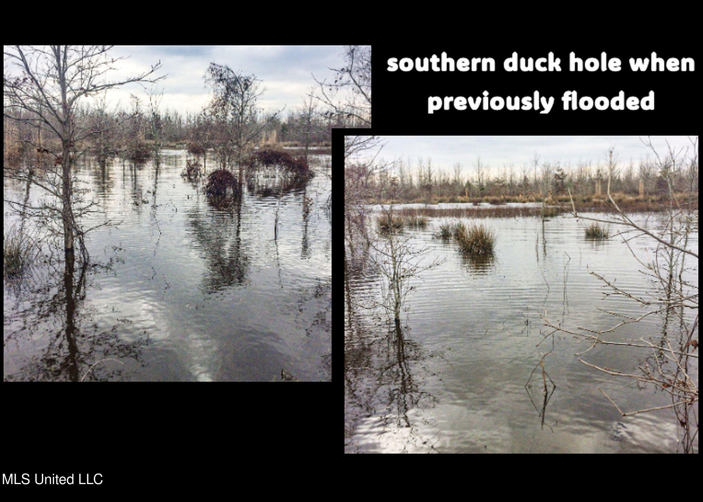 Curtis Road Batesville, MS 38606 - Photo 22 of 157 2sprgctrs63