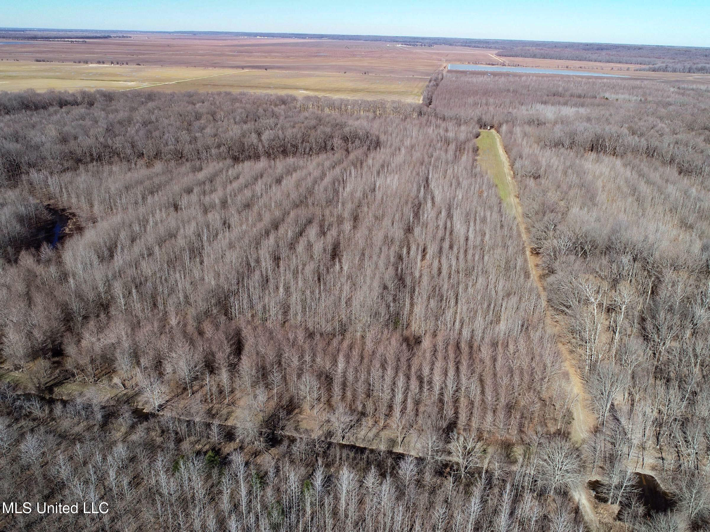 Curtis Road Batesville, MS 38606 - Photo 23 of 157 3sprgctrs1