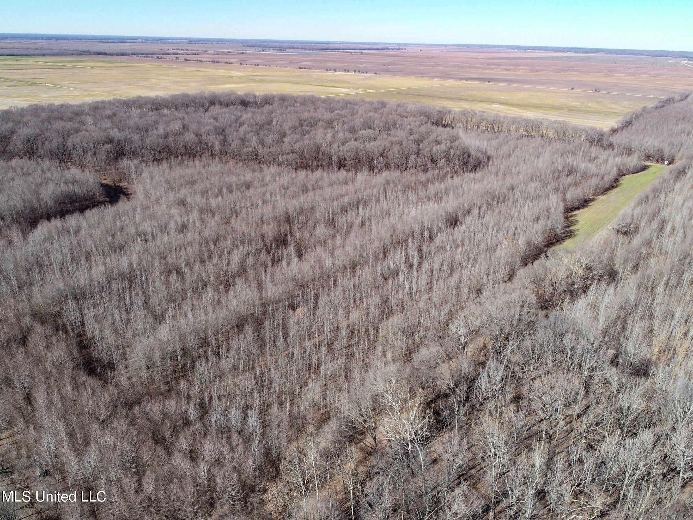 Curtis Road Batesville, MS 38606 - Photo 24 of 157 3sprgctrs3