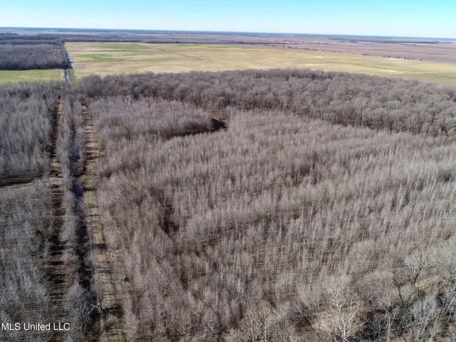 $625,000 | Curtis Road, Batesville, MS 38606