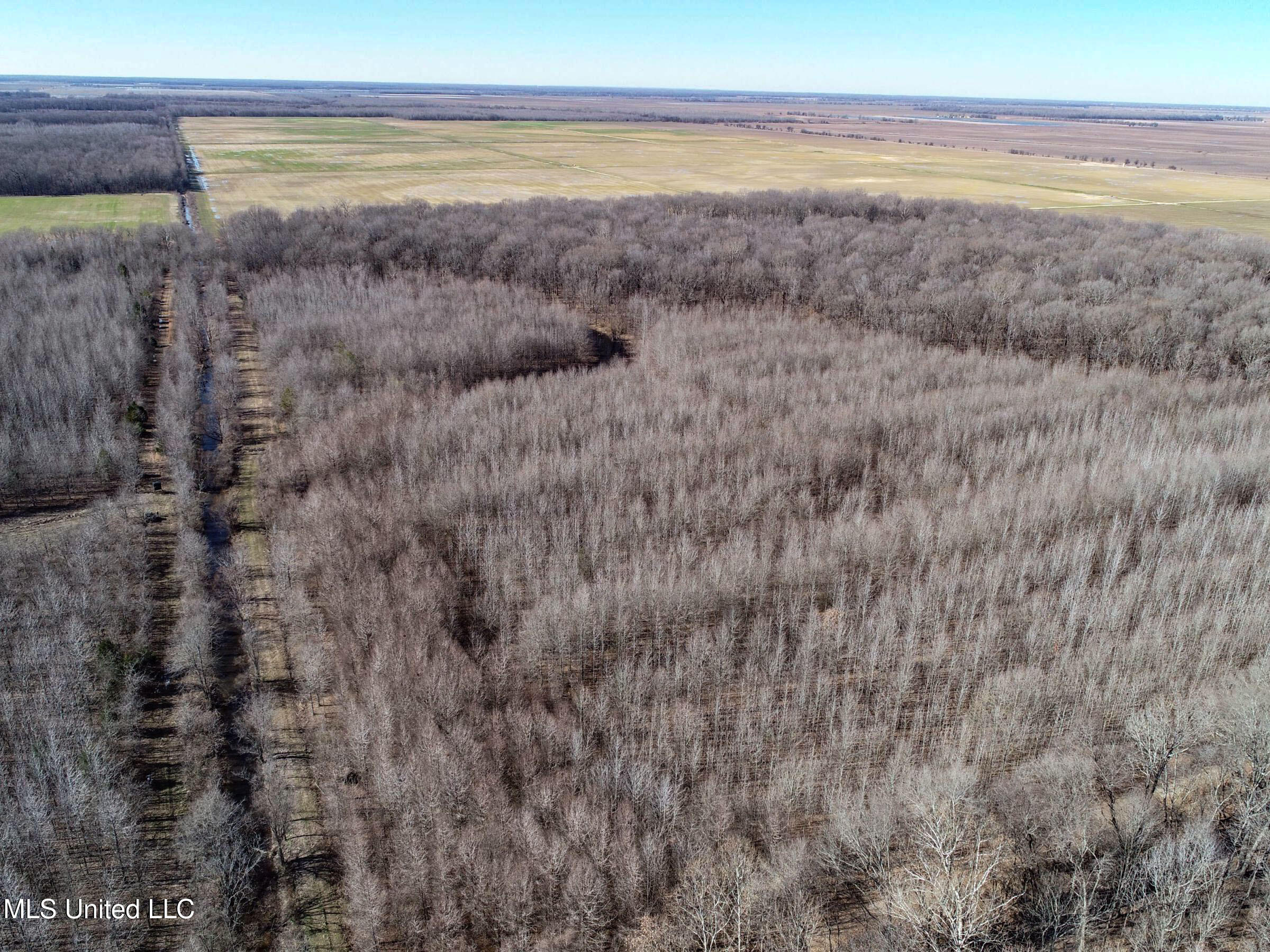 Curtis Road Batesville, MS 38606 - Photo 25 of 157 3sprgctrs4