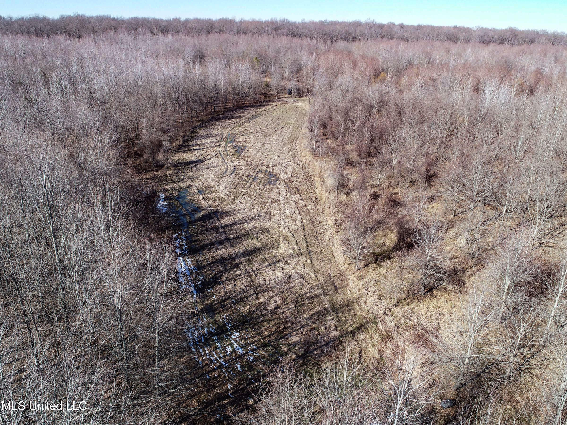 Curtis Road Batesville, MS 38606 - Photo 28 of 157 3sprgctrs8