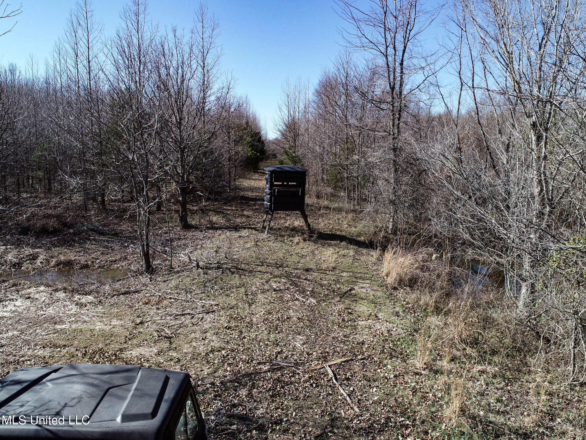 Curtis Road Batesville, MS 38606 - Photo 29 of 157 3sprgctrs9