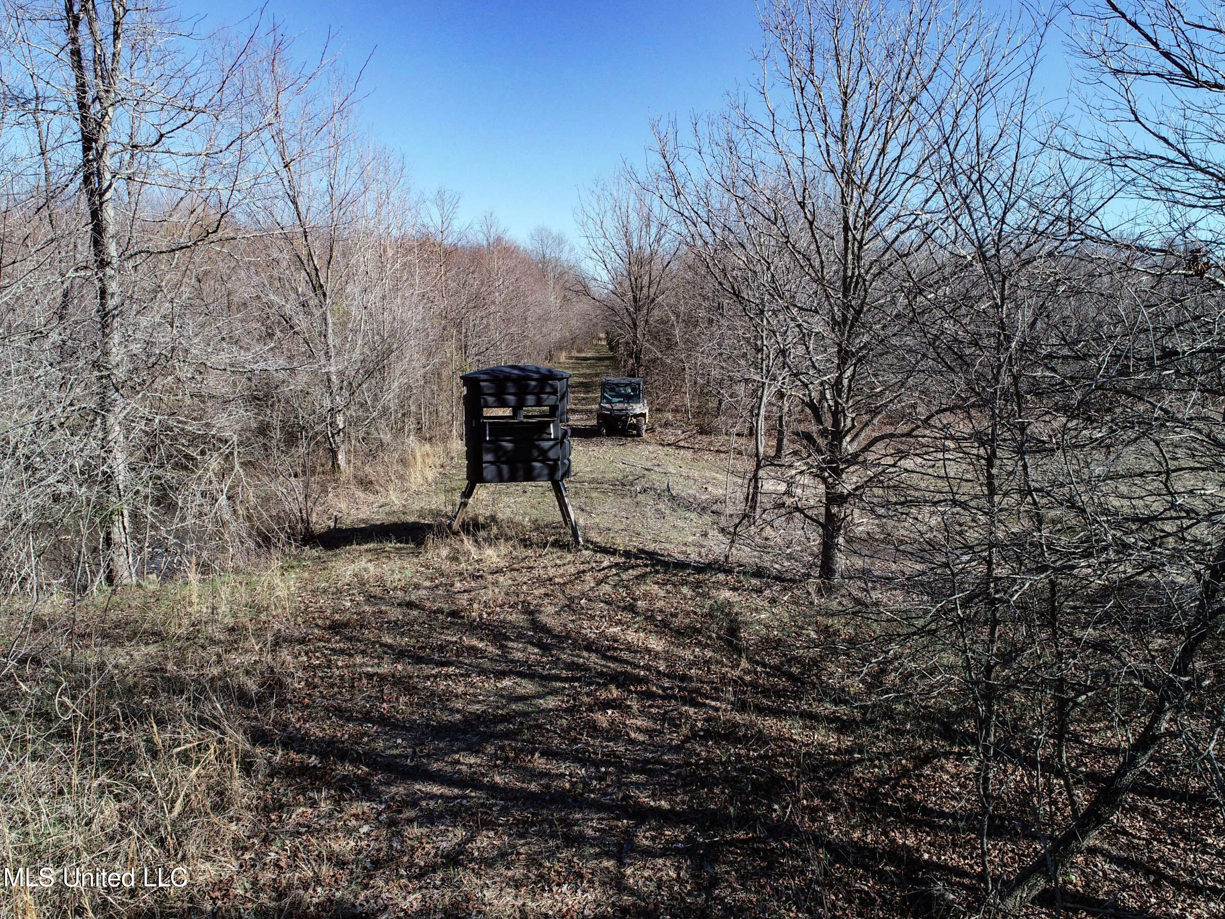 Curtis Road Batesville, MS 38606 - Photo 30 of 157 3sprgctrs11
