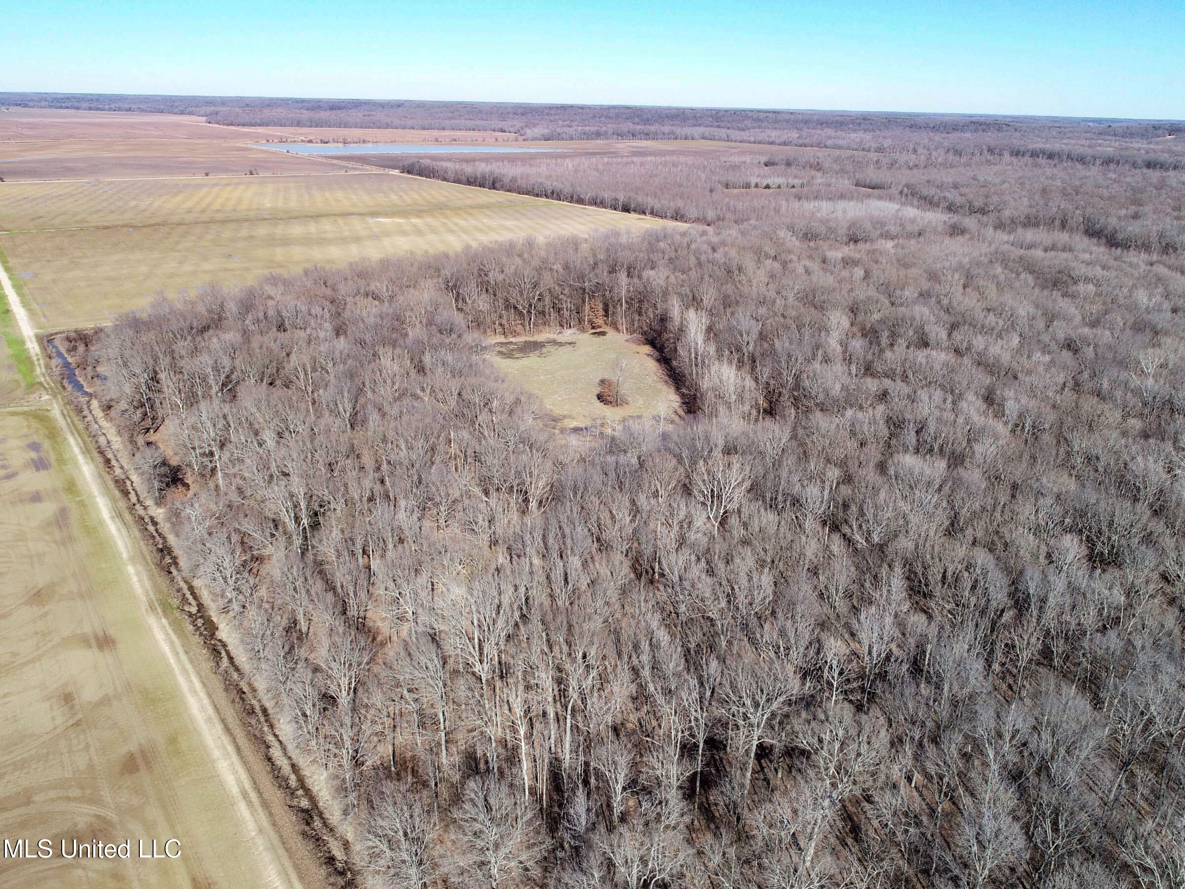 Curtis Road Batesville, MS 38606 - Photo 33 of 157 3sprgctrs14