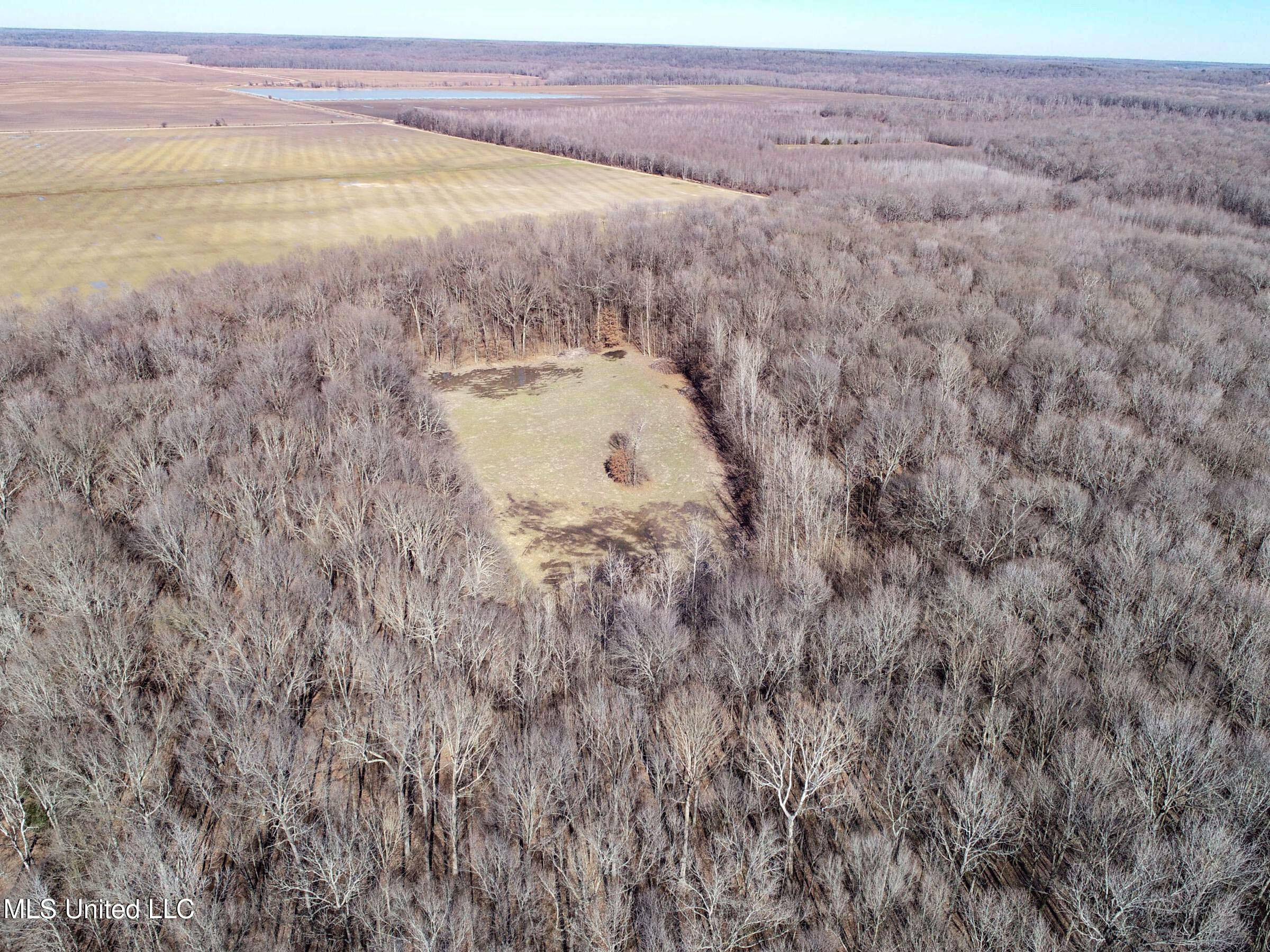 Curtis Road Batesville, MS 38606 - Photo 34 of 157 3sprgctrs15