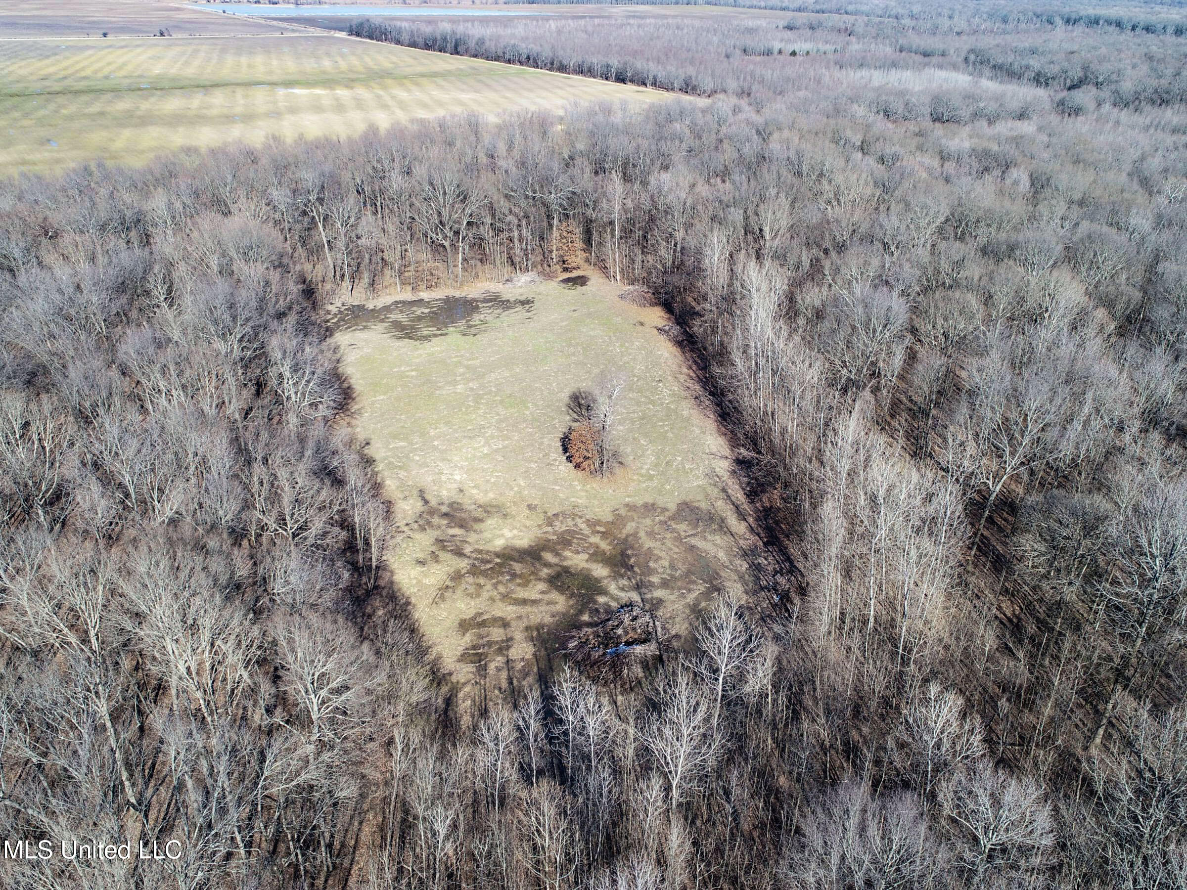 Curtis Road Batesville, MS 38606 - Photo 35 of 157 3sprgctrs16