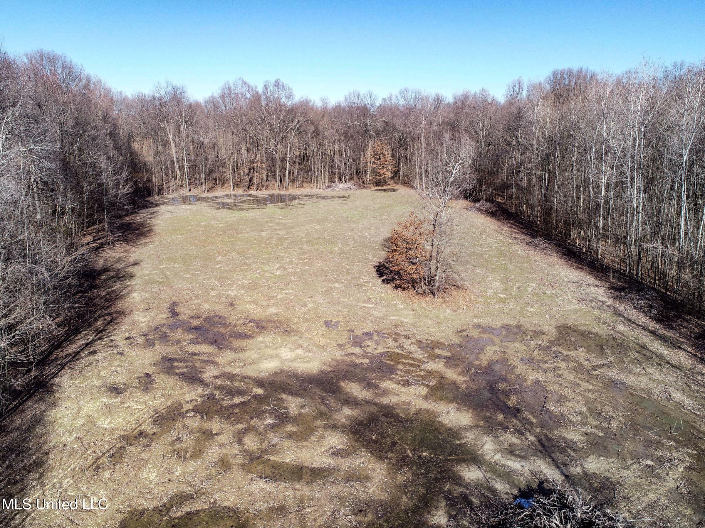 Curtis Road Batesville, MS 38606 - Photo 36 of 157 3sprgctrs18