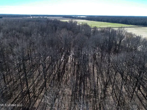 $625,000 | Curtis Road, Batesville, MS 38606