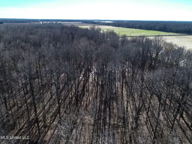 $625,000 | Curtis Road, Batesville, MS 38606