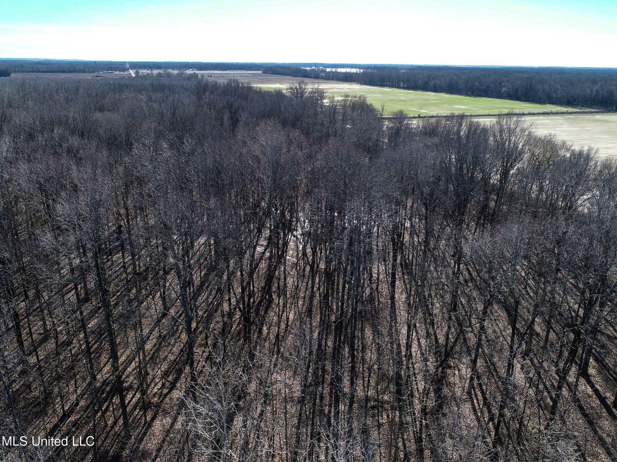 Curtis Road Batesville, MS 38606 - Photo 37 of 157 3sprgctrs19