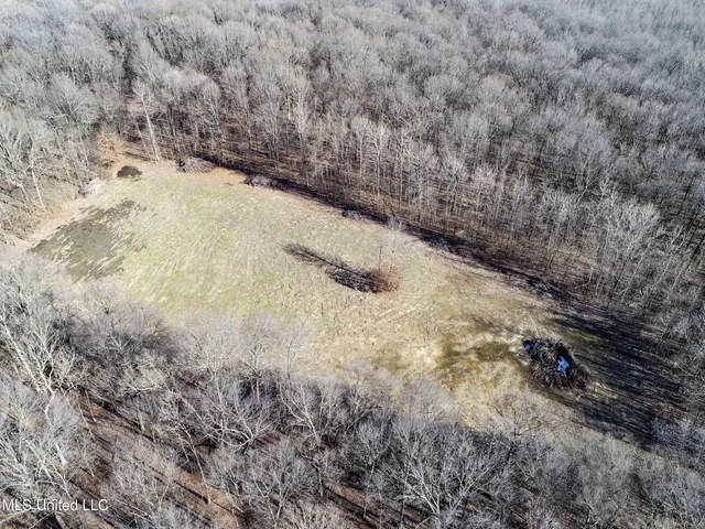 $625,000 | Curtis Road, Batesville, MS 38606