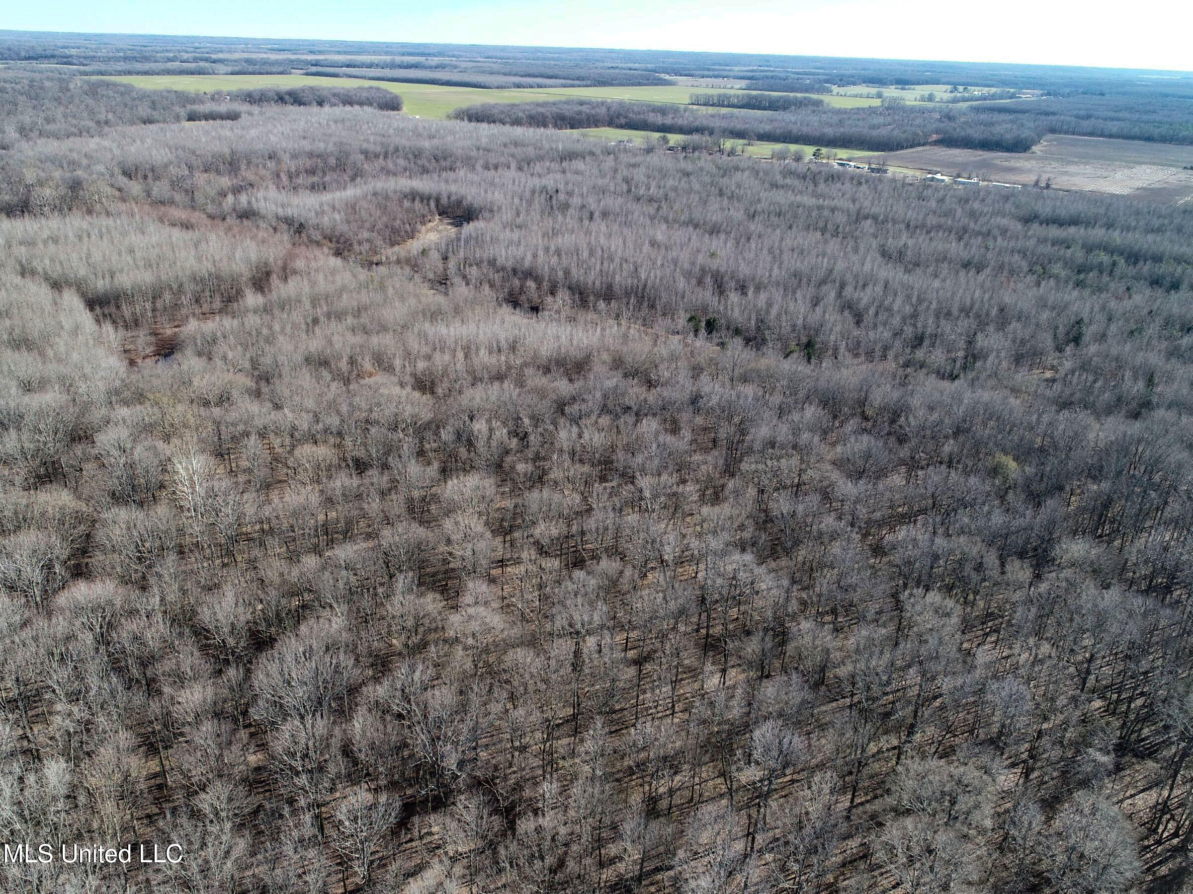 Curtis Road Batesville, MS 38606 - Photo 40 of 157 3sprgctrs23