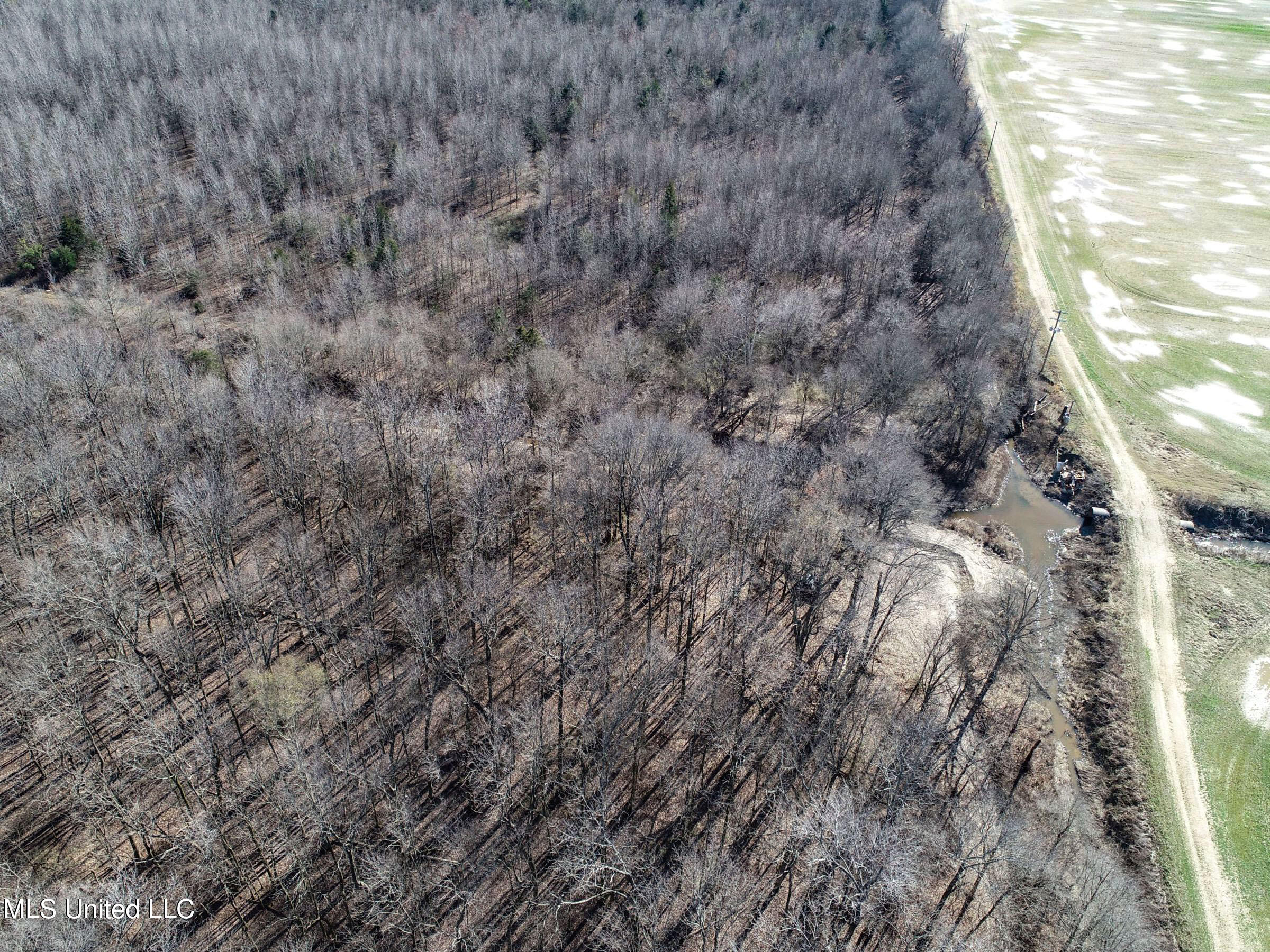 Curtis Road Batesville, MS 38606 - Photo 41 of 157 3sprgctrs25