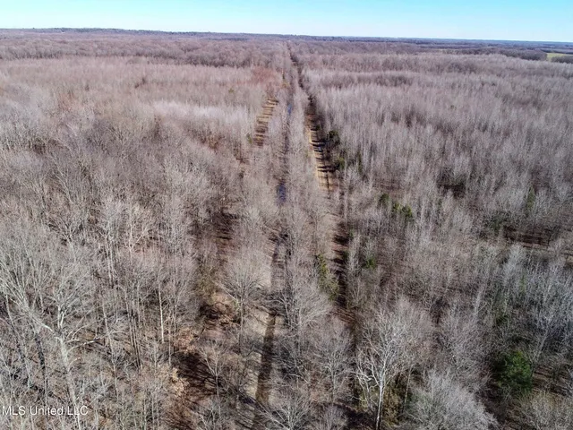 $625,000 | Curtis Road, Batesville, MS 38606