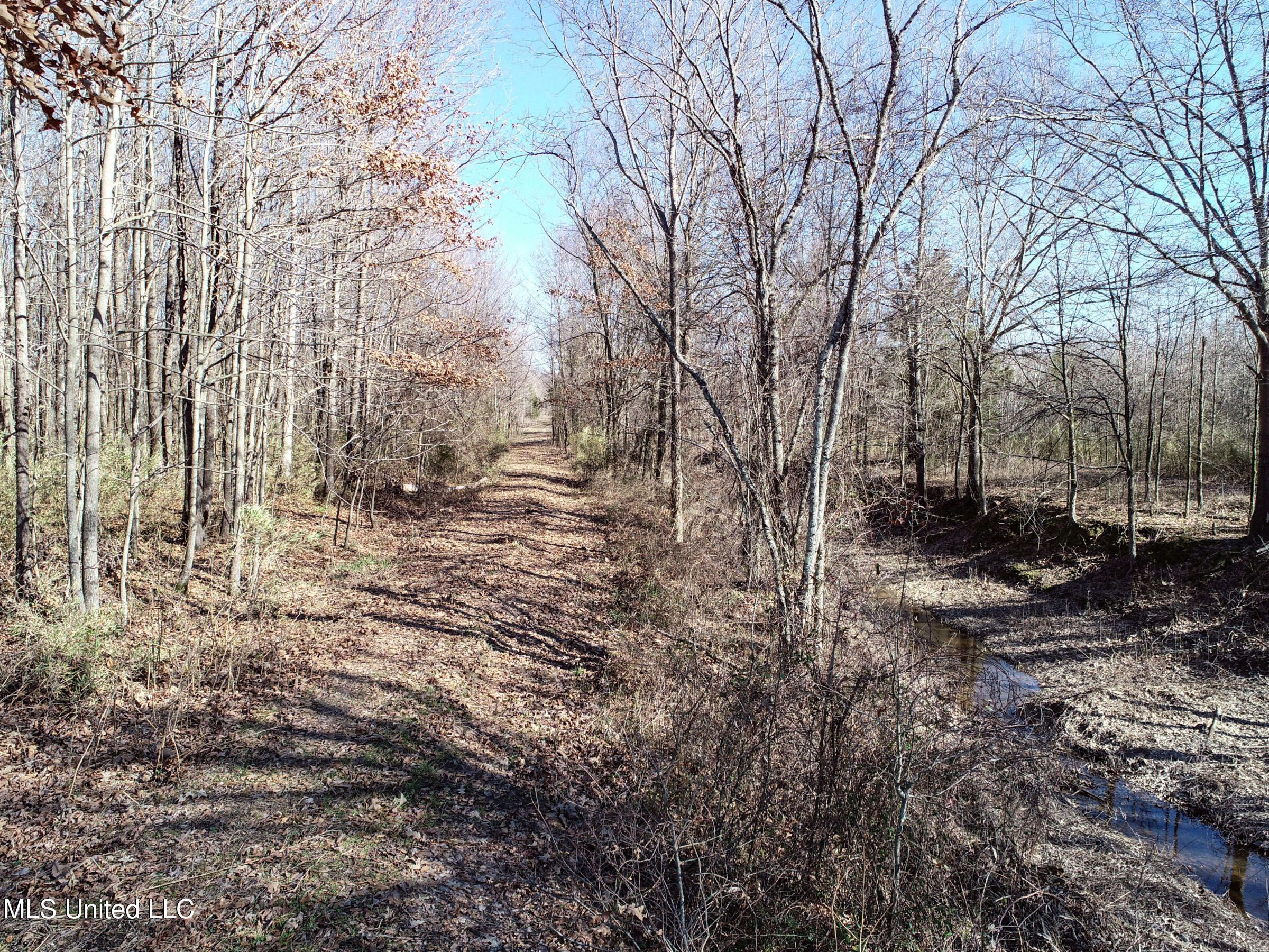 Curtis Road Batesville, MS 38606 - Photo 44 of 157 3sprgctrs28
