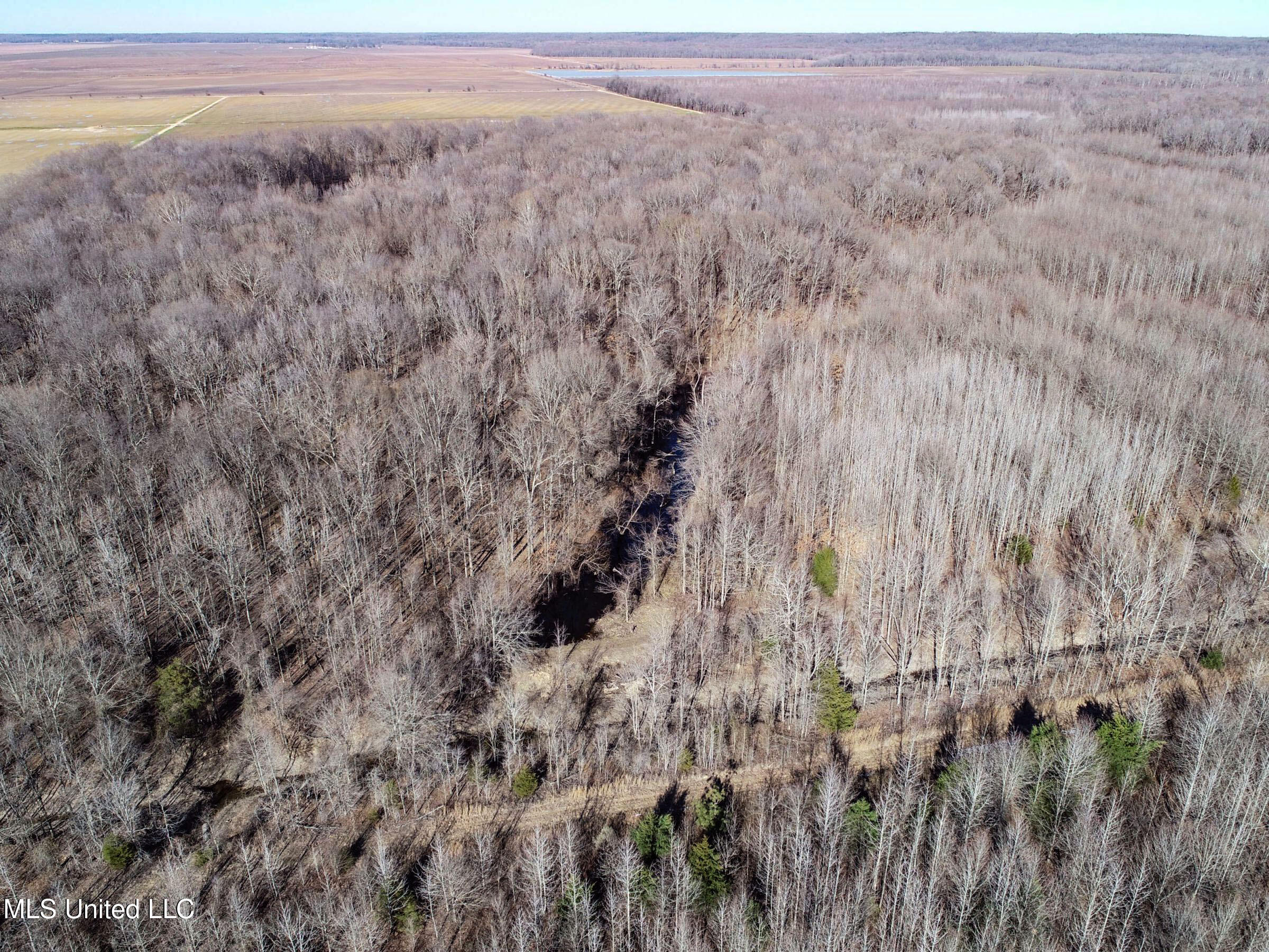 Curtis Road Batesville, MS 38606 - Photo 46 of 157 3sprgctrs32