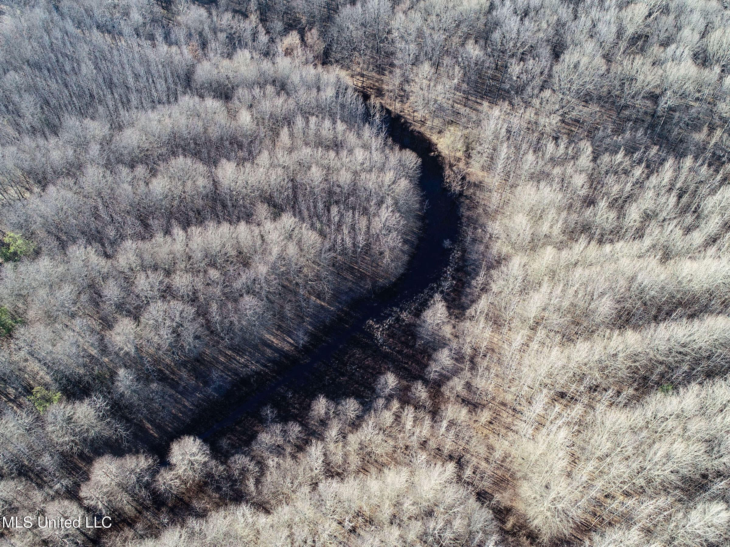 Curtis Road Batesville, MS 38606 - Photo 49 of 157 3sprgctrs37