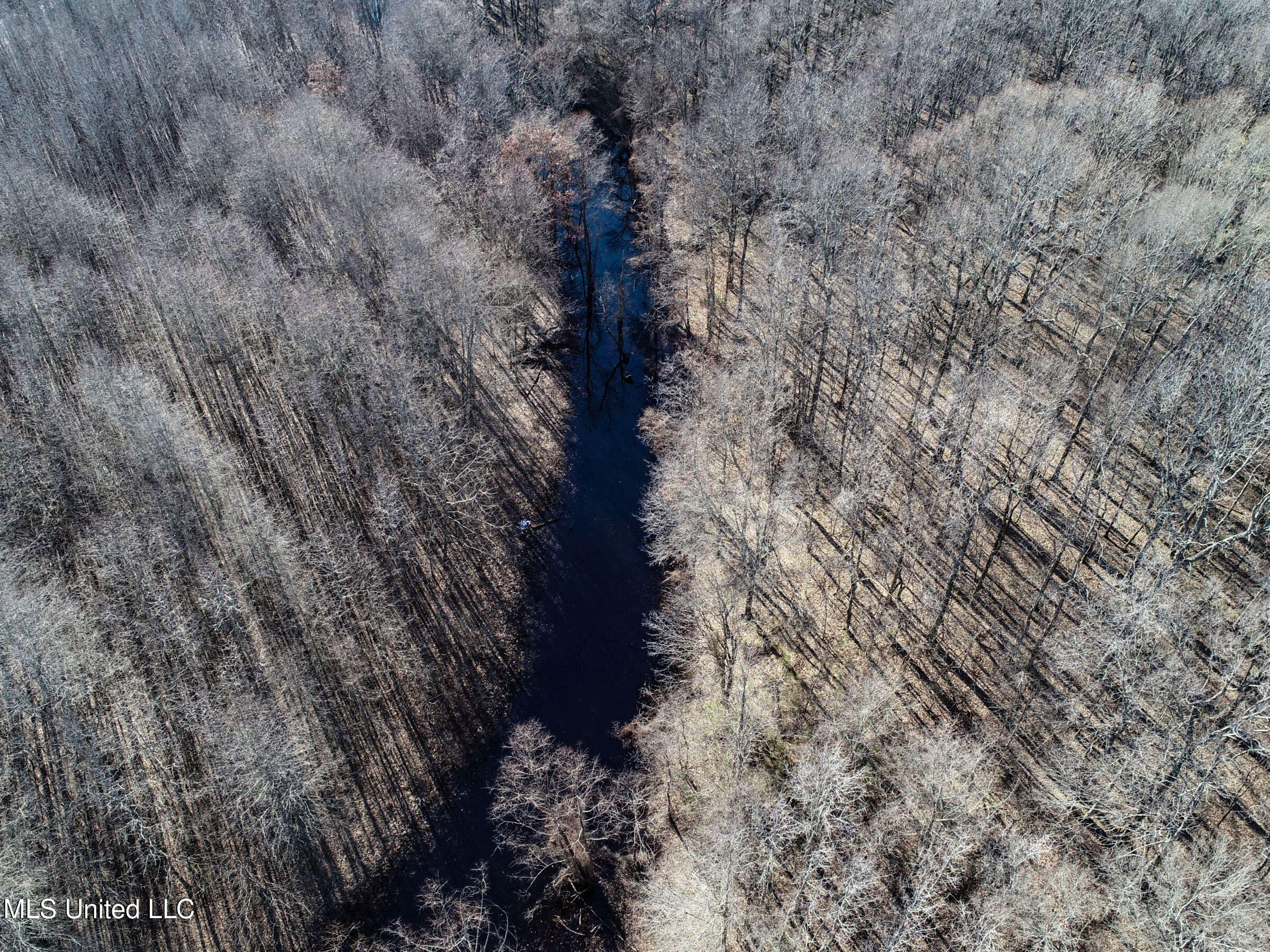 Curtis Road Batesville, MS 38606 - Photo 50 of 157 3sprgctrs38