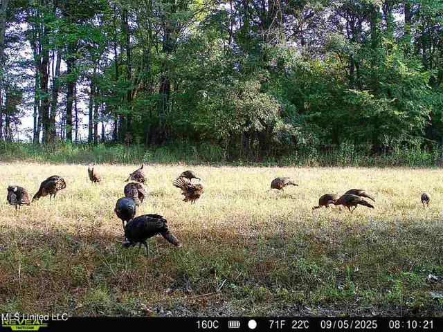 $625,000 | Curtis Road, Batesville, MS 38606