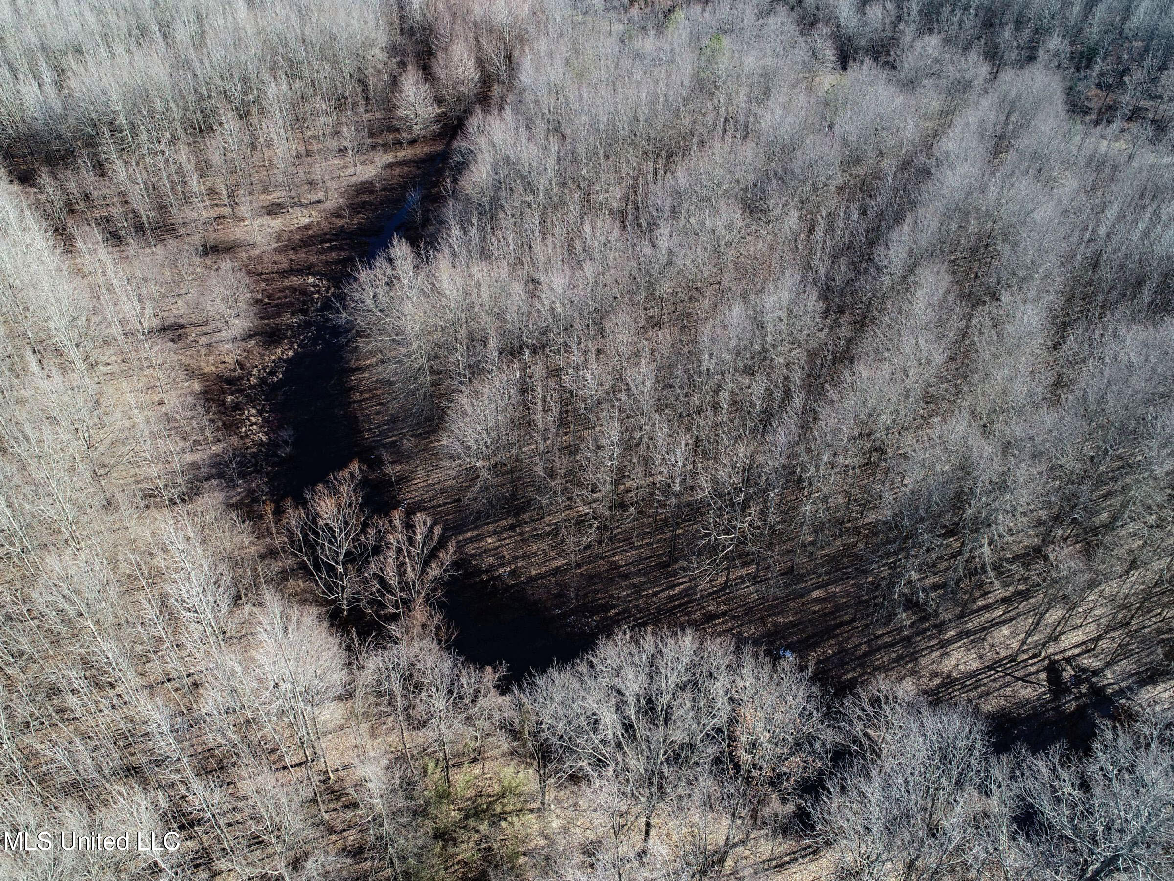 Curtis Road Batesville, MS 38606 - Photo 51 of 157 3sprgctrs39