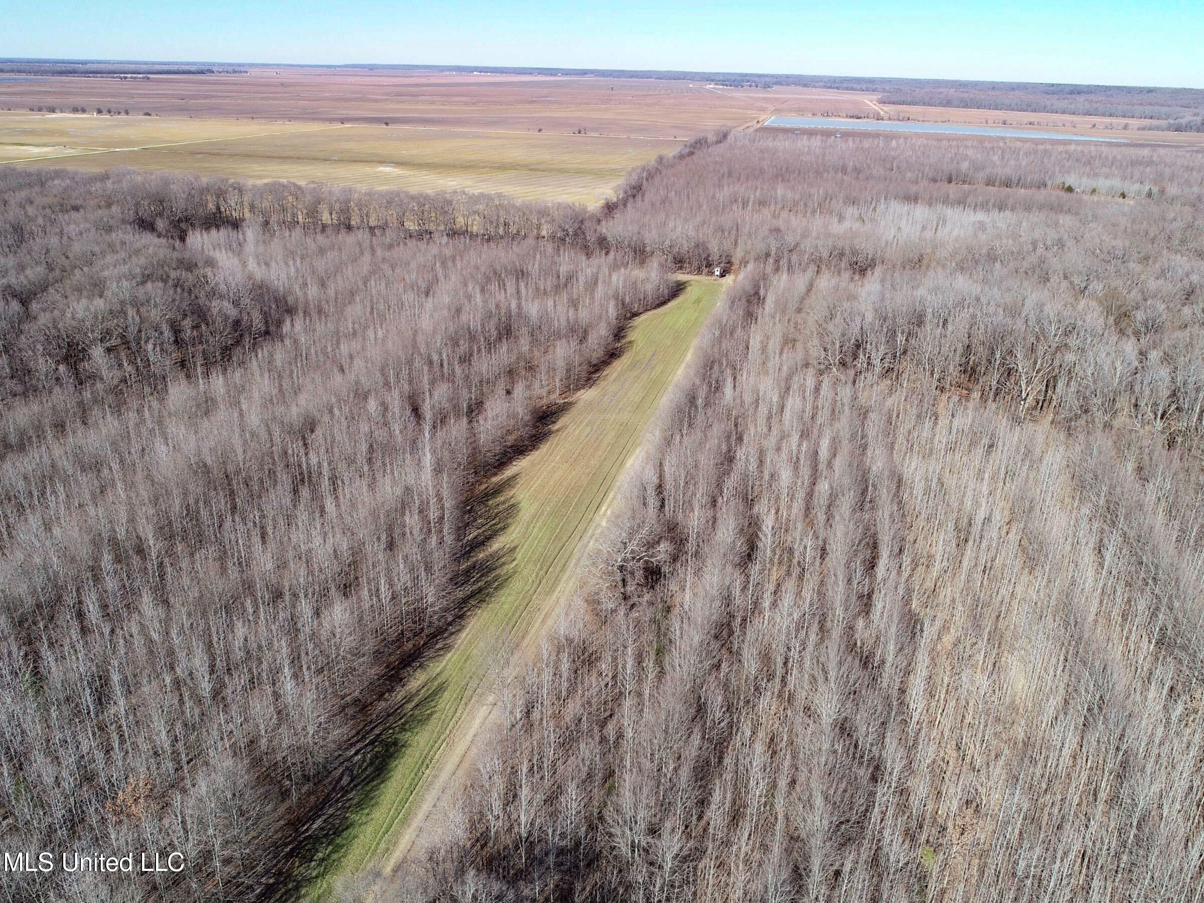 Curtis Road Batesville, MS 38606 - Photo 54 of 157 3sprgctrs45