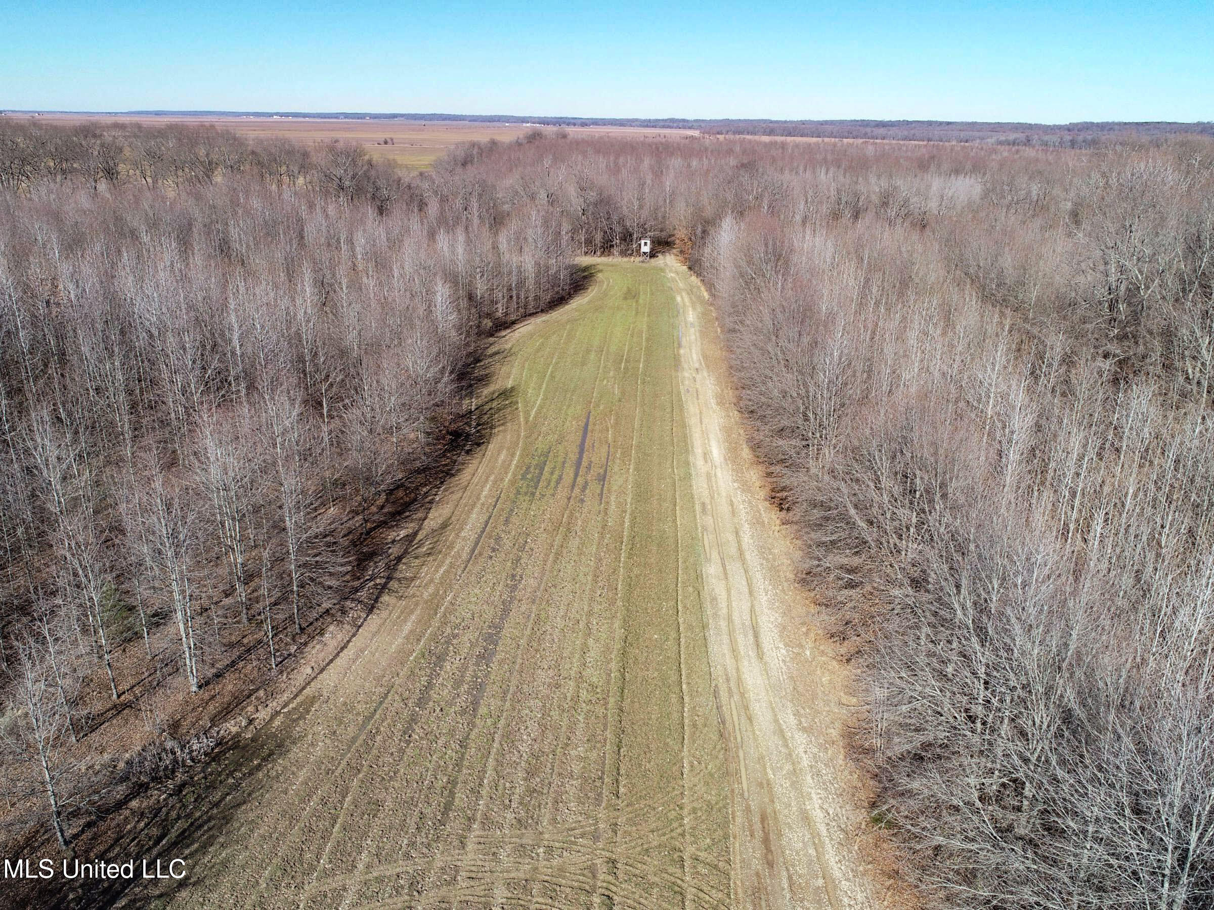 Curtis Road Batesville, MS 38606 - Photo 55 of 157 3sprgctrs47